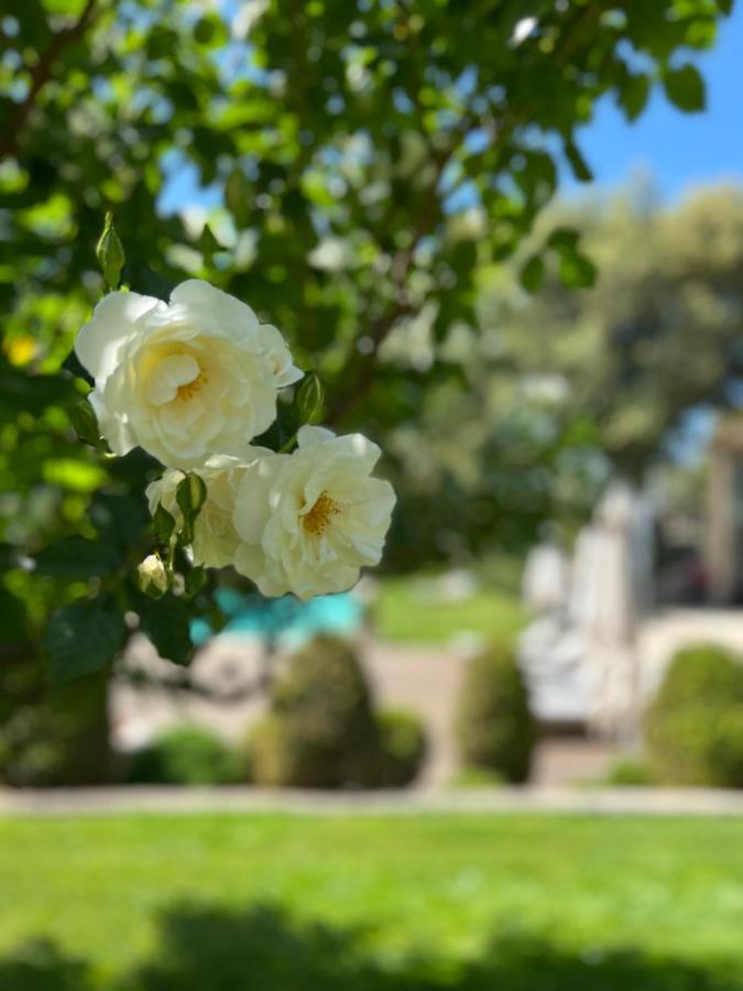 Villa Hautvallon - Peaceful Escape In Provence Горд Экстерьер фото